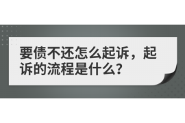 西藏为什么选择专业追讨公司来处理您的债务纠纷？